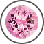 Pink Tourmaline